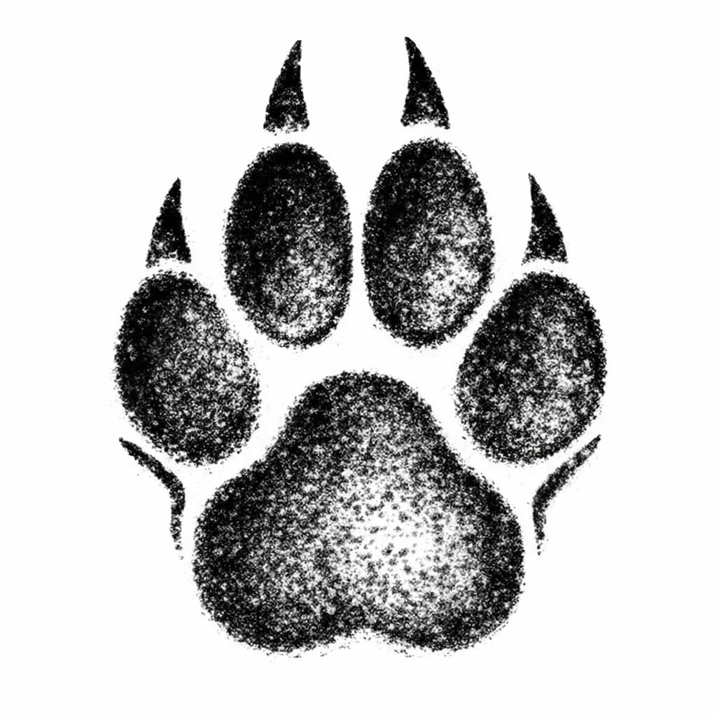 Tropy — Szakal złocisty