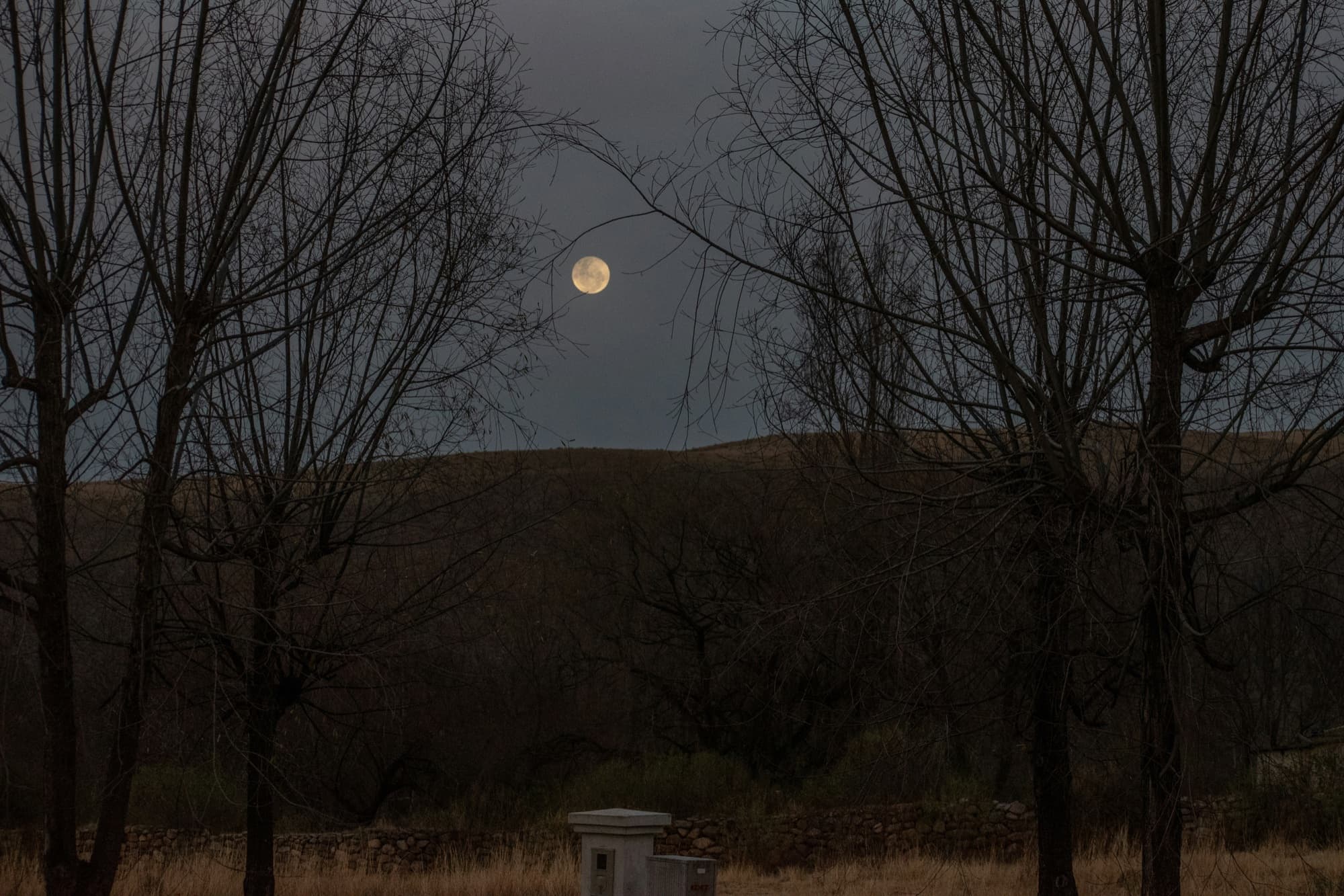 Polowanie nocne — myśliwy z bronią po zmroku